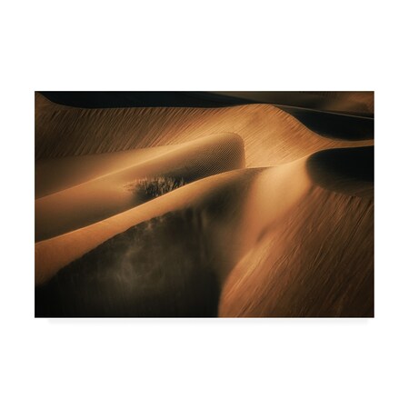 Trademark Fine Art Babak Mehrafshar Bob 'Touch The Wind' Canvas Art, 30x47 1X09247-C3047GG